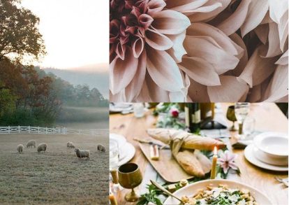 _Mail Chimp Images for EQ Living, F&F (59)